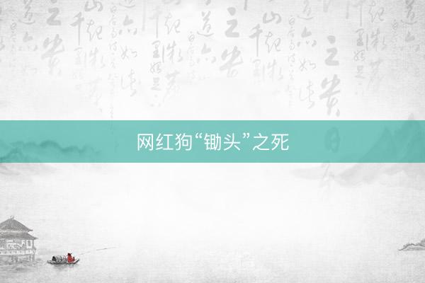 网红狗“锄头”之死