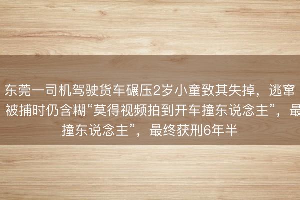 东莞一司机驾驶货车碾压2岁小童致其失掉，逃窜19年后就逮，被捕时仍含糊“莫得视频拍到开车撞东说念主”，最终获刑6年半