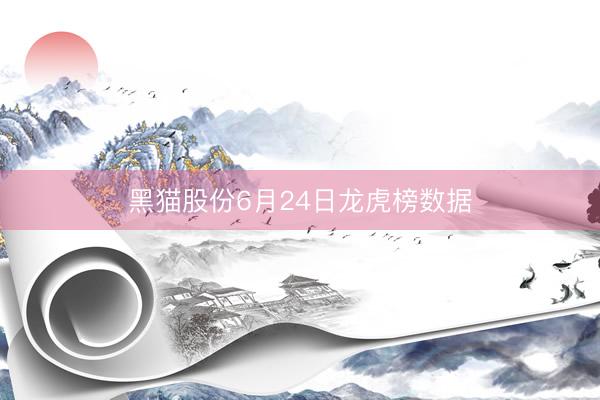 黑猫股份6月24日龙虎榜数据