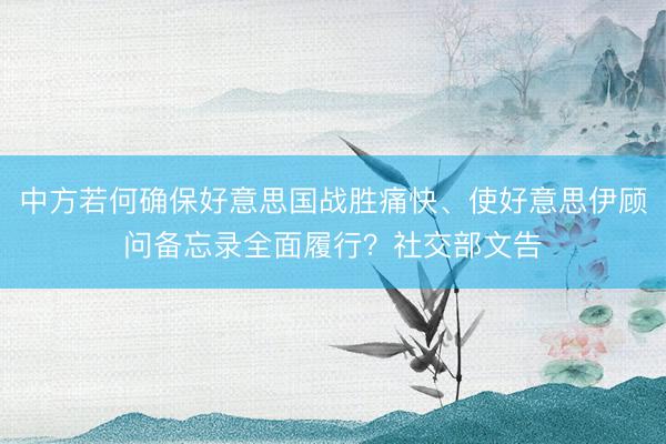 中方若何确保好意思国战胜痛快、使好意思伊顾问备忘录全面履行？社交部文告